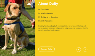 support dogs im duffy