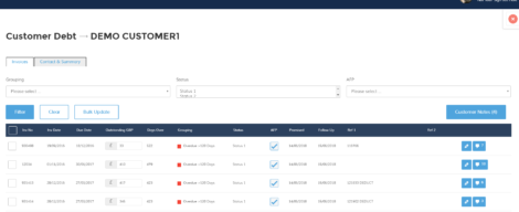 Individual debtor screen