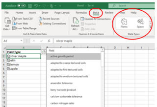 Data Types in Excel