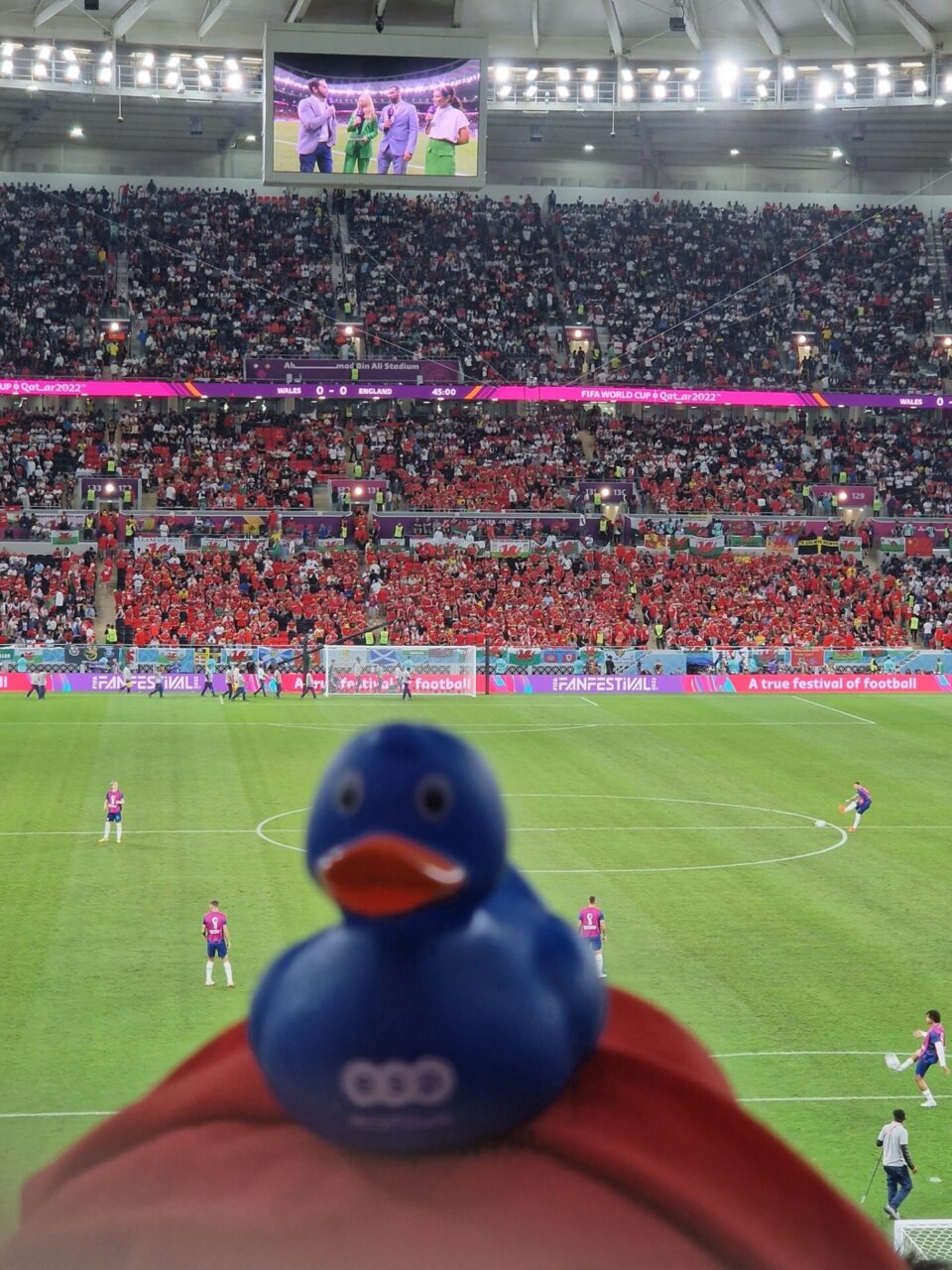 World Cup Duck