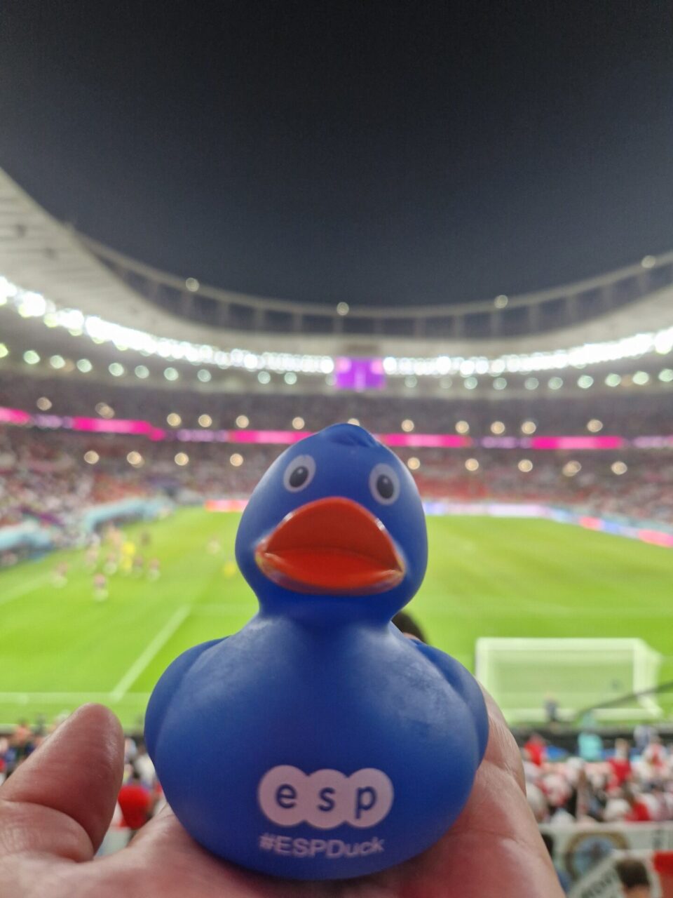 Qatari Duck