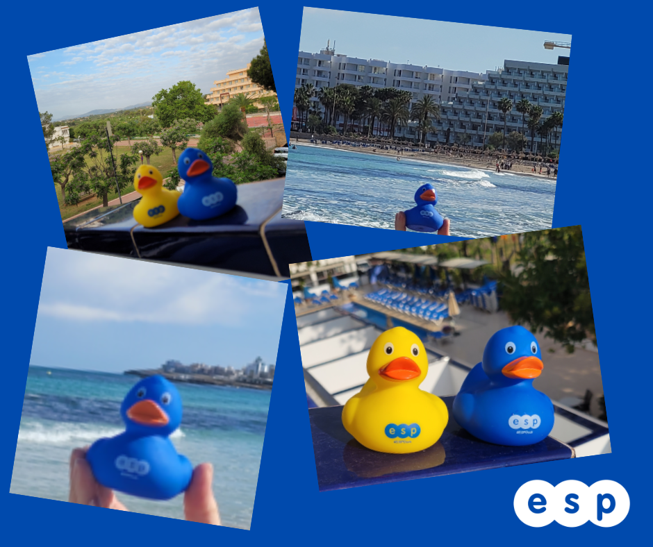 Duck in majorca