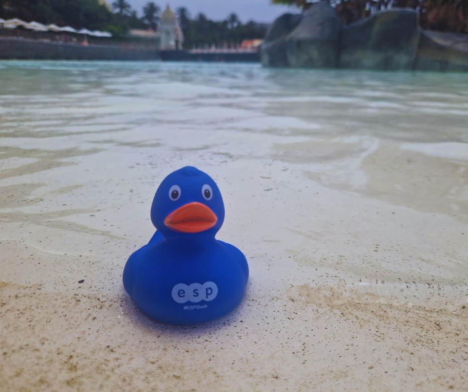 Missy Duck at Siam Park