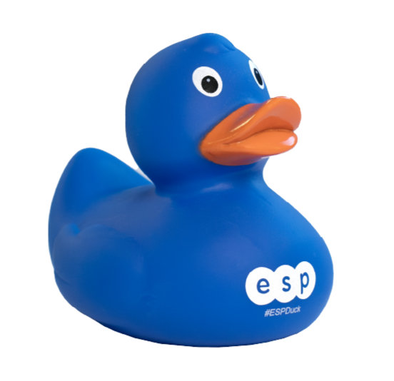 Missy-Duck-with-Shells-scaled-bg-2